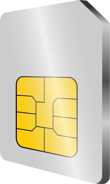 sim card France